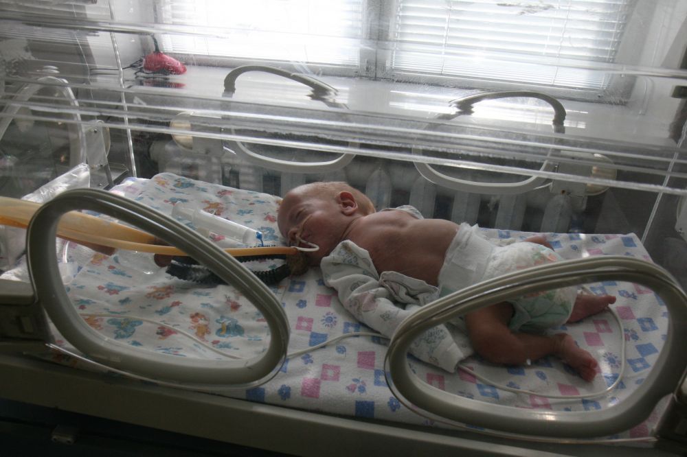 Петровский Александр Владимирович